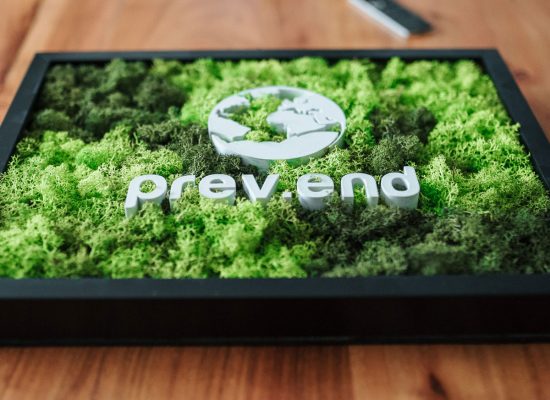 prevend-deko-moos